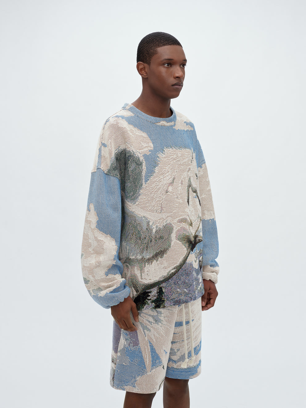 Multi Amiri TAPESTRY PEGASUS CREW | 269410-AUQ