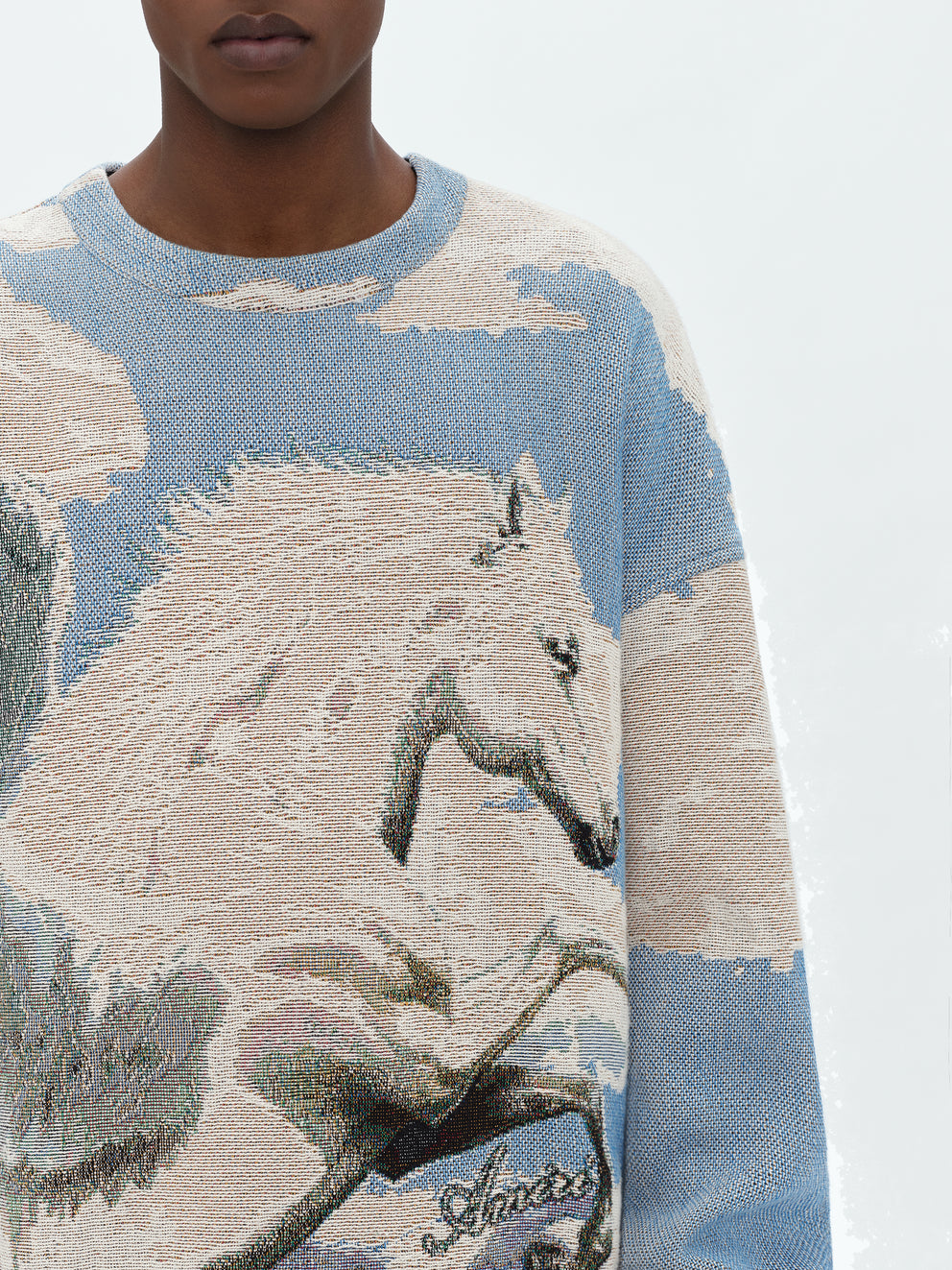 Multi Amiri TAPESTRY PEGASUS CREW | 269410-AUQ